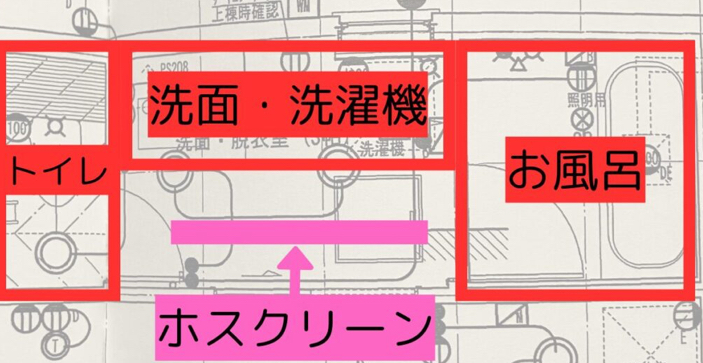 左側にトイレ、右側にお風呂。
中心に洗面台と洗濯機があり、ホスクリーンが設置されている。